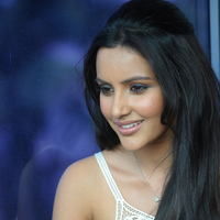 PRIYA ANAND CUTE PHOTOS AT 180 SUCCESS MEET | Picture 43486